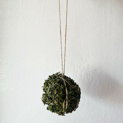 Creosote Leaf Ball